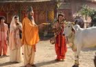 5 Reasons to Tune Into Kaamdhenu Gaumata on Star Bharat